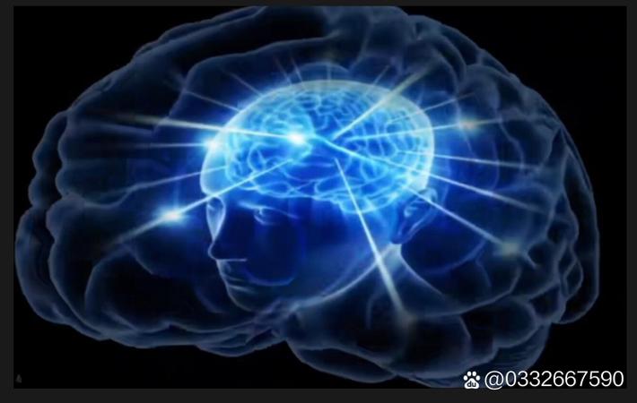 某知名运动员宣布退役,职业生涯回顾:从天才少年到传奇老将
